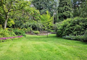 Optimiser l'expérience du jardin à La Ferte-sur-Chiers